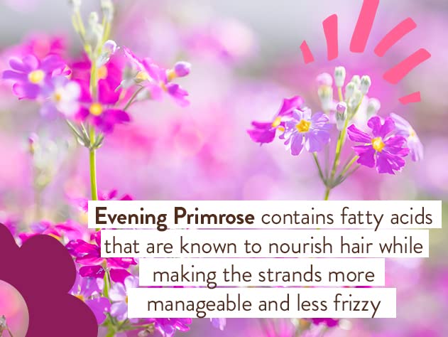 Babo Botanicals Smoothing Berry 2-in-1 Shampoo & Wash - Detangling & Nourishing - Eliminates Frizz & Prevents Static - Evening Primrose Oil - For all ages - Light Berry Fragrance- Vegan