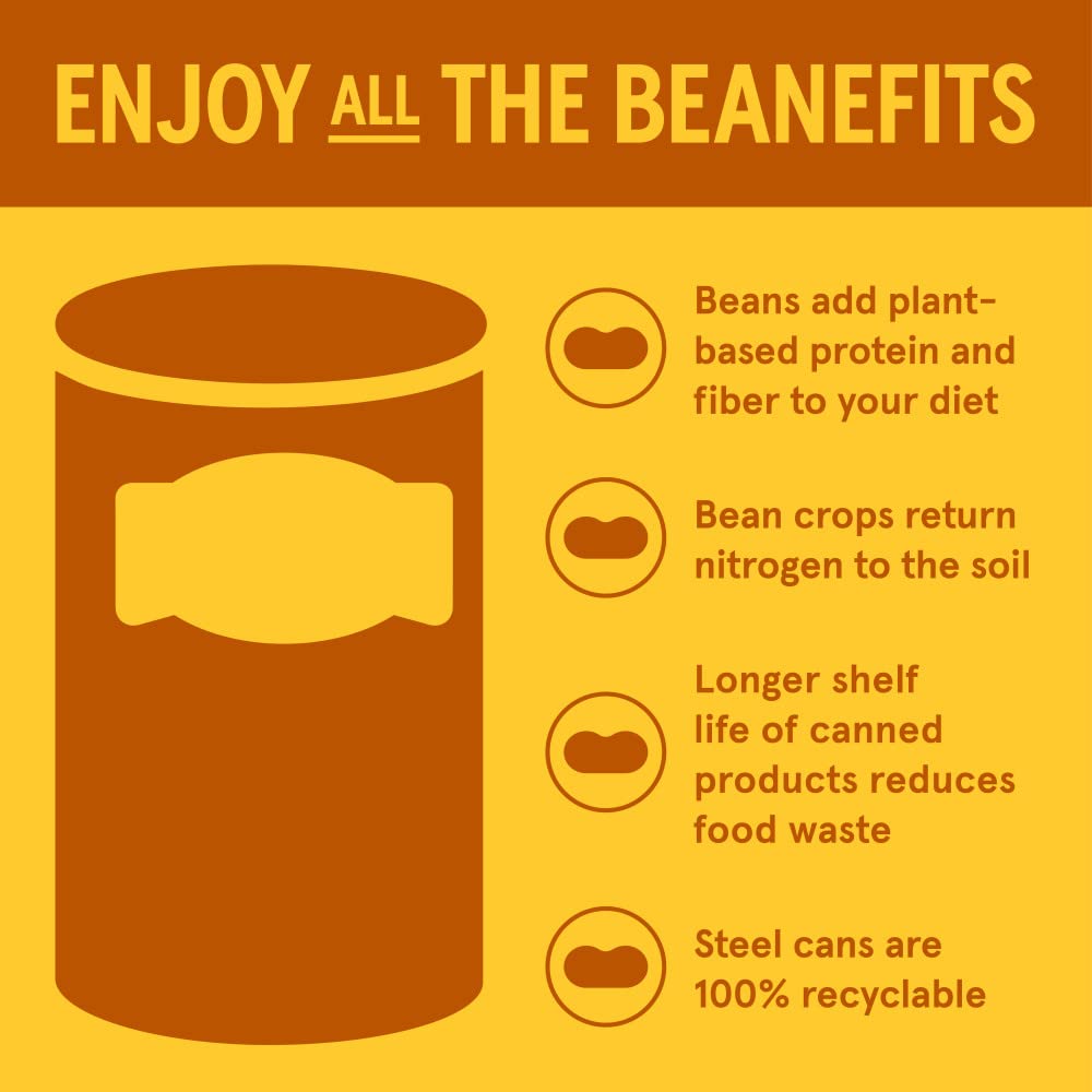 BUSH'S BEST 16 oz Canned Black Refried Beans, Source of Plant Based Protein and Fiber, Low Fat, Gluten Free, (Pack of 12)