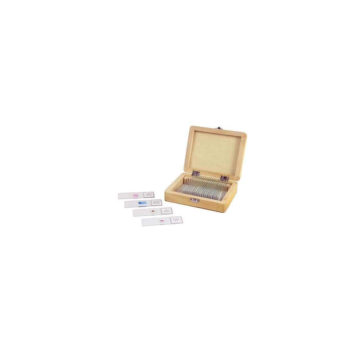 Celestron 44410 Prepared Microscope Slides, Pack of 25