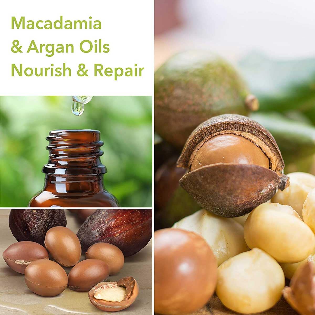 Macadamia Professional Hair Care Sulfate - Paraben Repair Hair Shampoo, Sheer Pecan, 10 Fl Oz