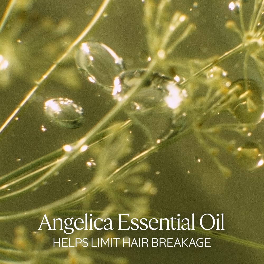 L'OCCITANE Aromachologie Intensive Repair Enriched Infused Oil 3.30 fl.oz