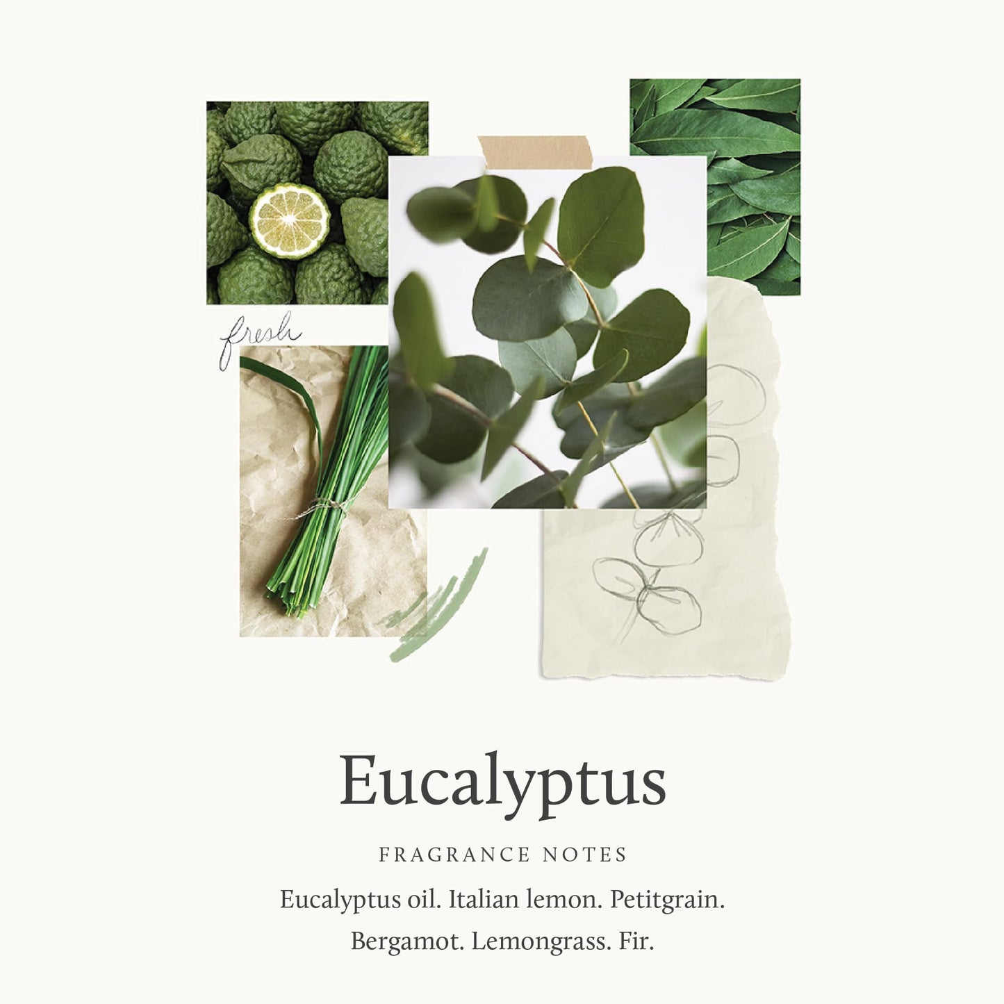 Eucalyptus Travel Set with Beauty Bag