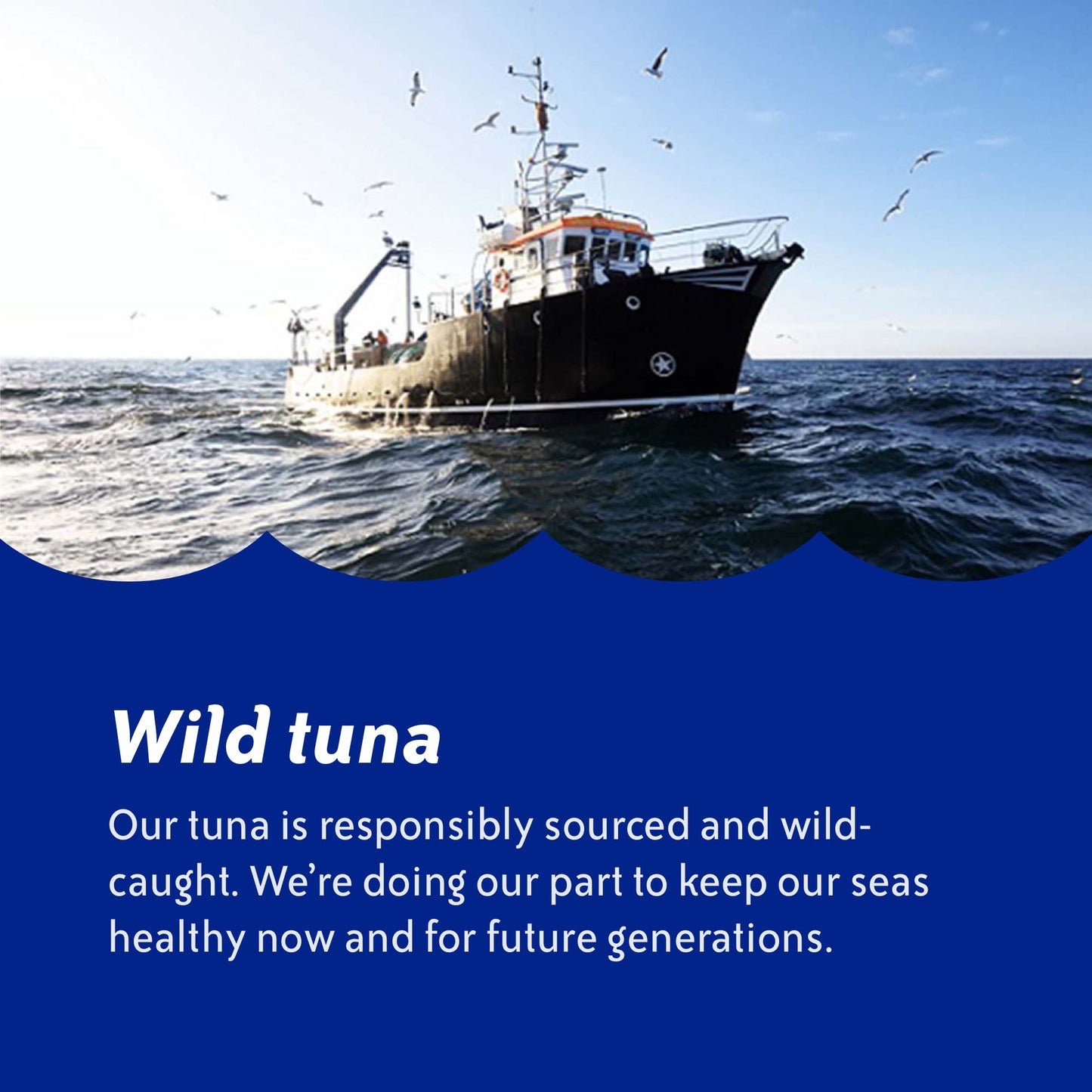 Chicken of the Sea Wild Caught Light Tuna in Spring Water, 2.5 Ounce Packets, 12-Count – High Protein 100% Skipjack Tuna in Water – Easy, Delicious, Nutritious Ready to Eat Meals
