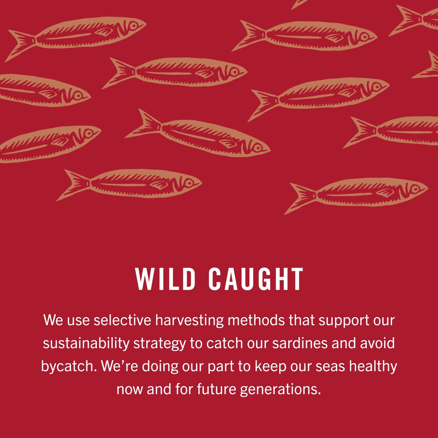King Oscar Sardines in Olive Oil, 4.38 Ounce Cans (Pack of 12, Packaging May Vary), Skinless & Boneless, Wild Caught Canned Sardines