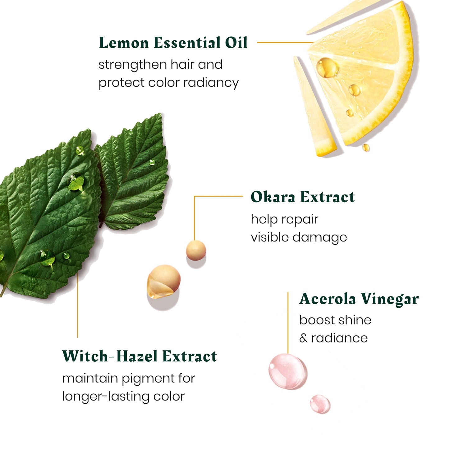Rene Furterer Color Glow Repairing Glow Conditioner- Amino Acids & Lemon Essential Oil