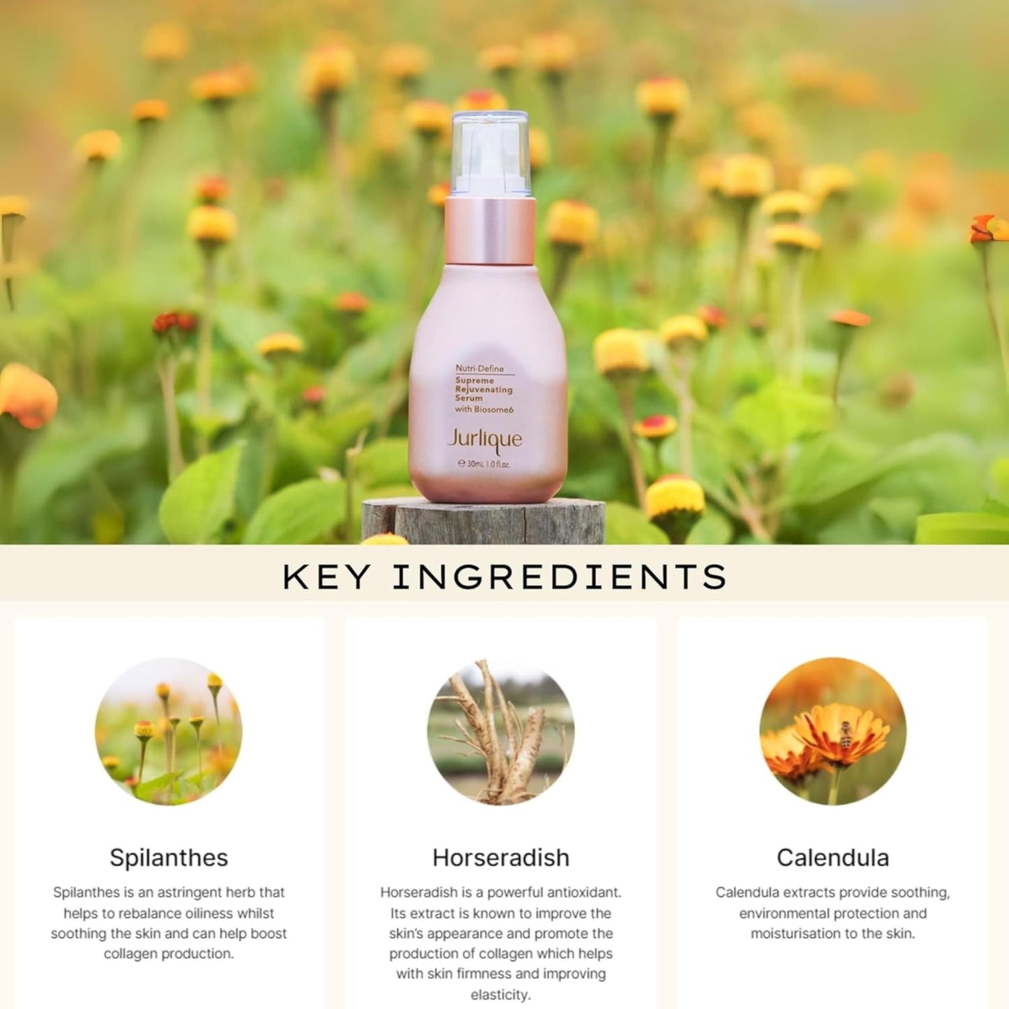 Jurlique. - Nutri-Define Supreme Rejuvenating Serum- 30ml| Face Serum for Women & Men | For Ageing Skin | Reduces Appearance of Fine Lines & Wrinkles