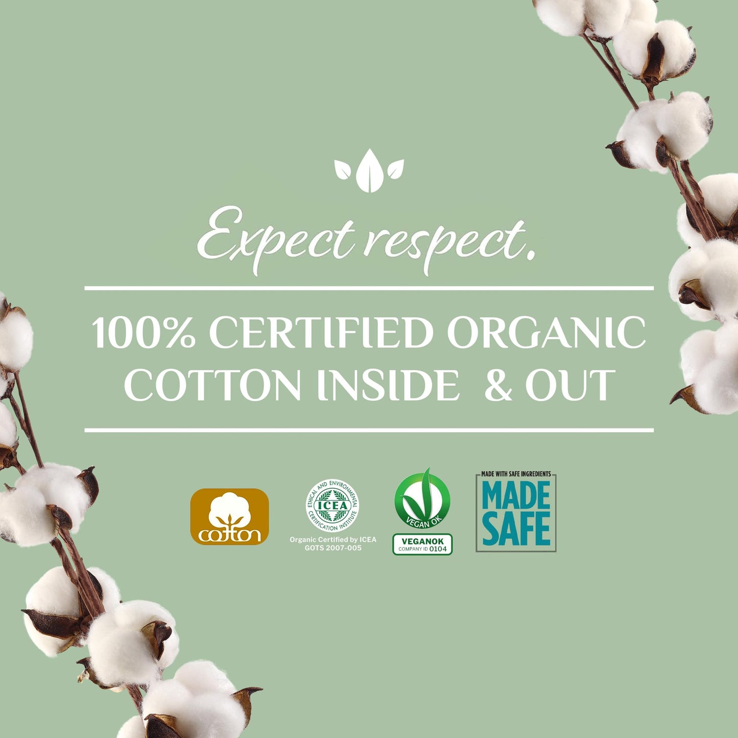 Organyc 100% Certified Organic Cotton Inside and Out Tanga Thong Panty Liners, Ultra Thin Liners for Women, Light Flow, 24 Count