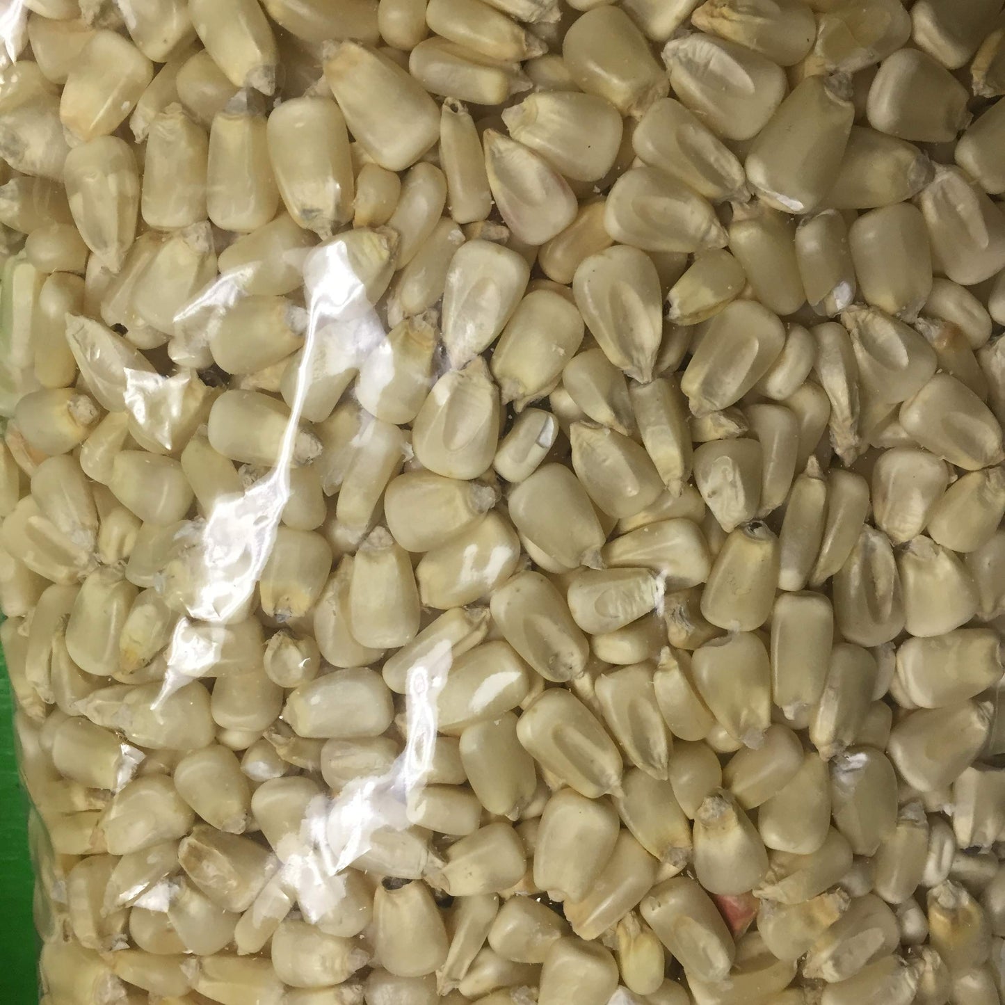 Mahindi Whole White Corn