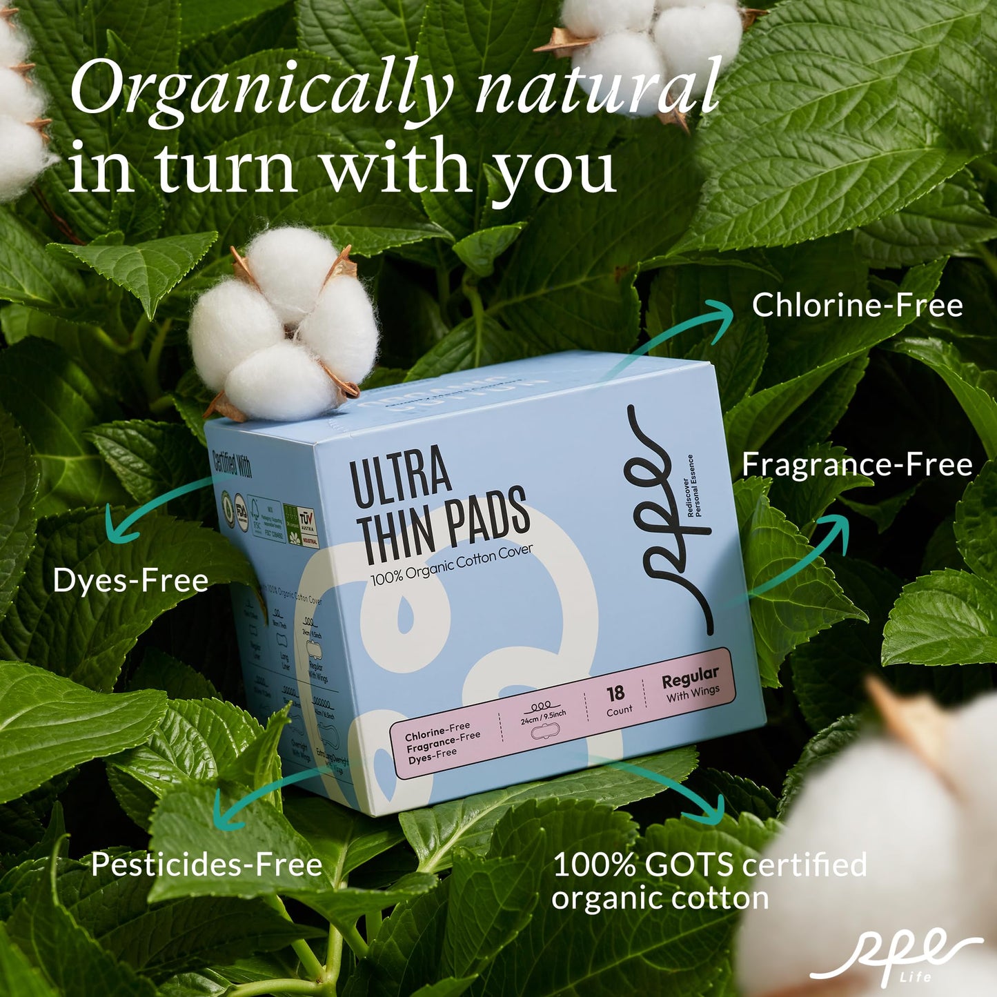 Organic Feminine Care Set: Ultra-Thin Period Pads with Wings & pH Balanced Flushable Wipes, Unscented, Regular Absorbency, Travel-Friendly, 54 Pads + 40 Wipes (10ct x 4)