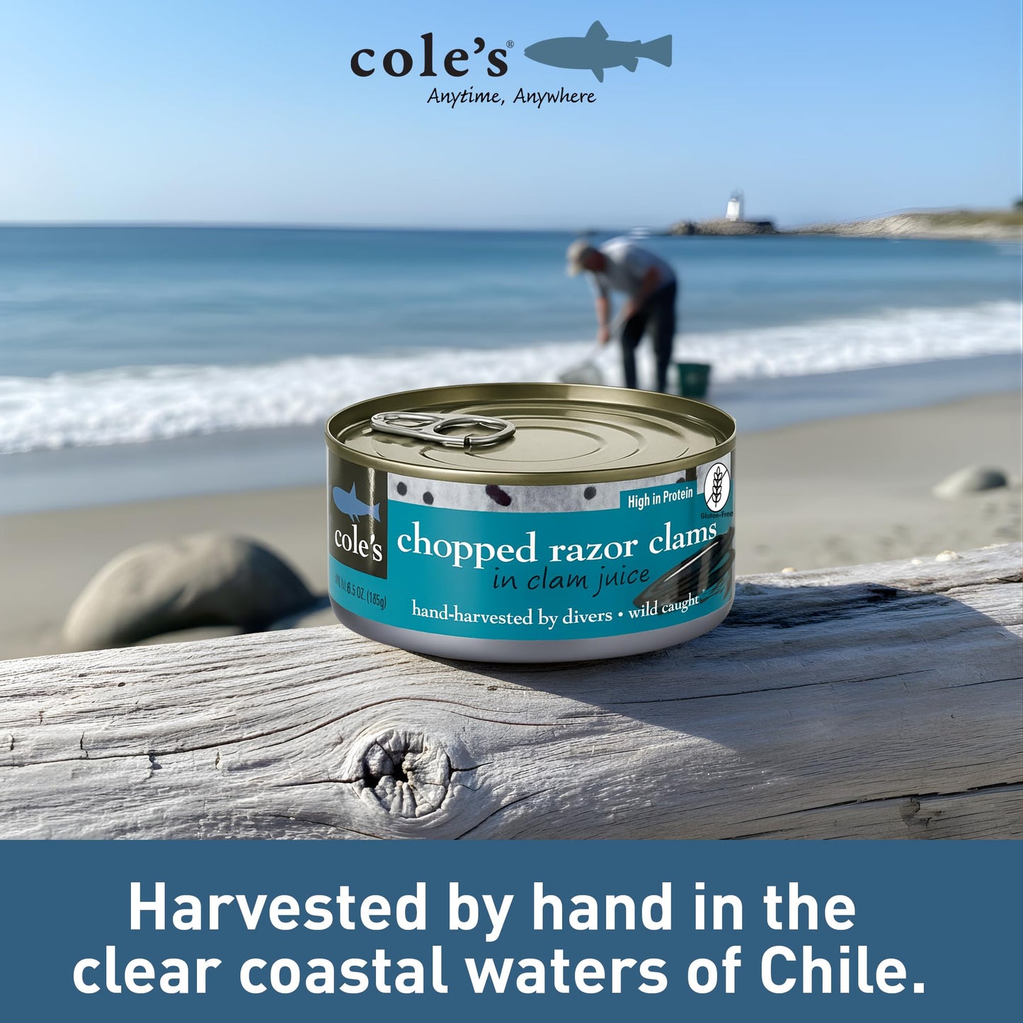 COLES CANNED AND CHOPPED CLAMS - Harvested in Crystal Clear Water, Gluten Free Food, High Protein and Low-Calorie Clams – Pack of 12 (6.5 oz per)