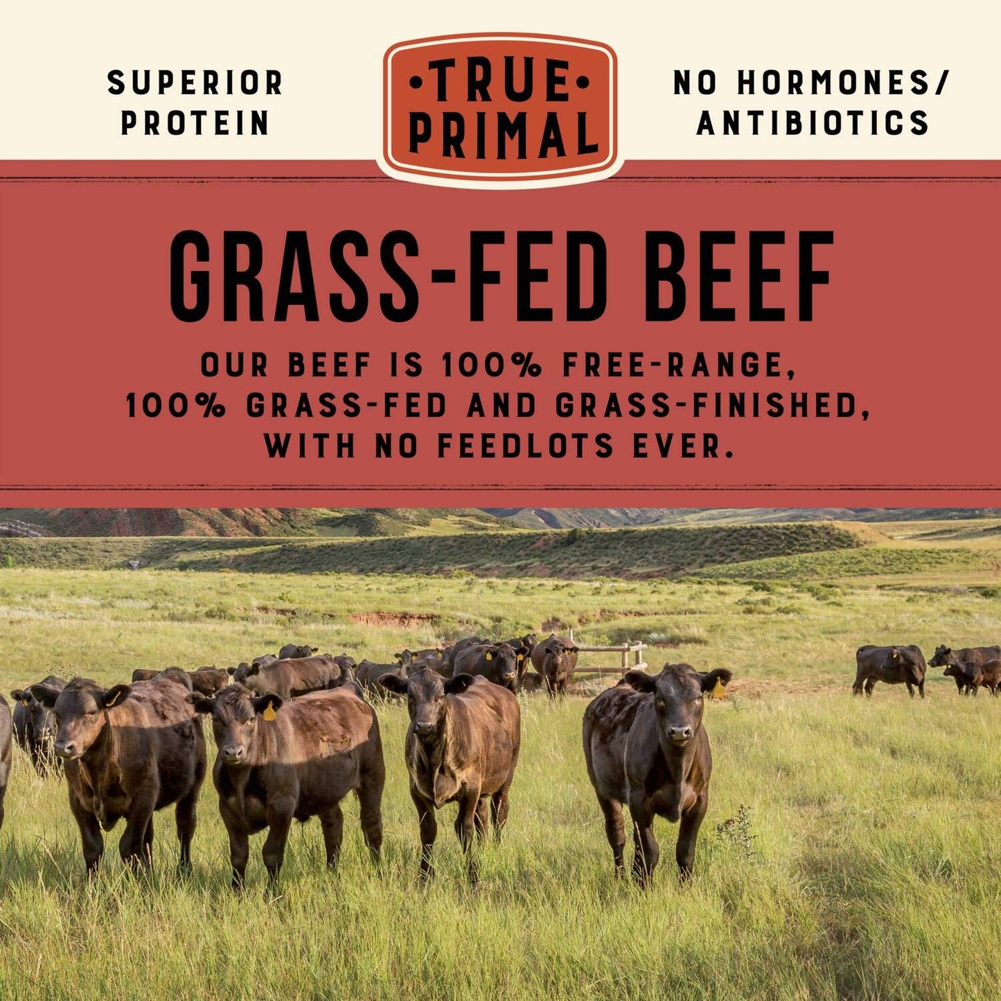 True Primal Mini Meatballs Variety Grass-fed Beef & Pastured Chicken 8-pack. Ready to eat. 1/4 lb fully cooked beef per pouch. Gluten free. Grain free. Paleo. Keto. Carnivore. Organic. Whole30. AIP.