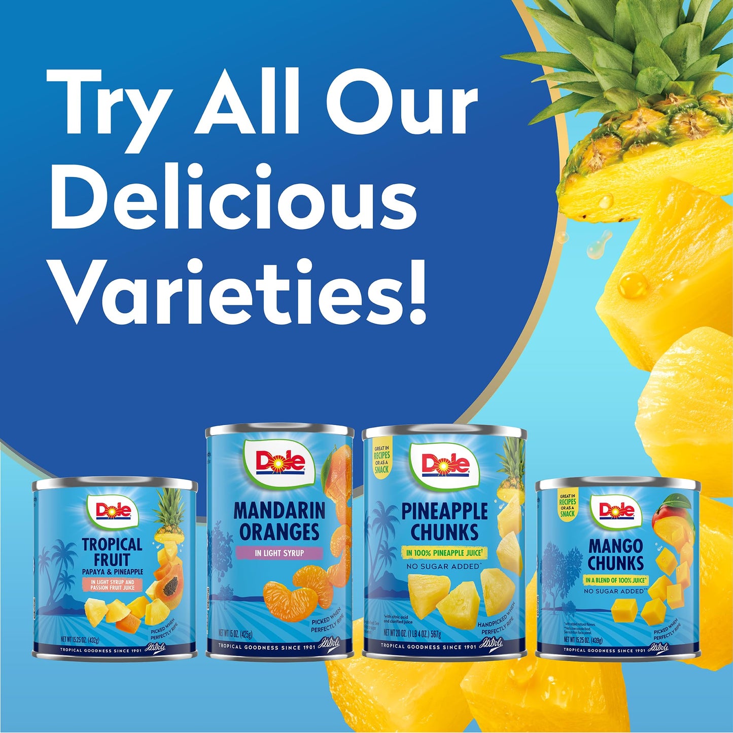 Dole Pineapple Chunks in Heavy Syrup - Dole Canned Fruit - Rich Source of Vitamin C - 20 oz Can - 12 Pack