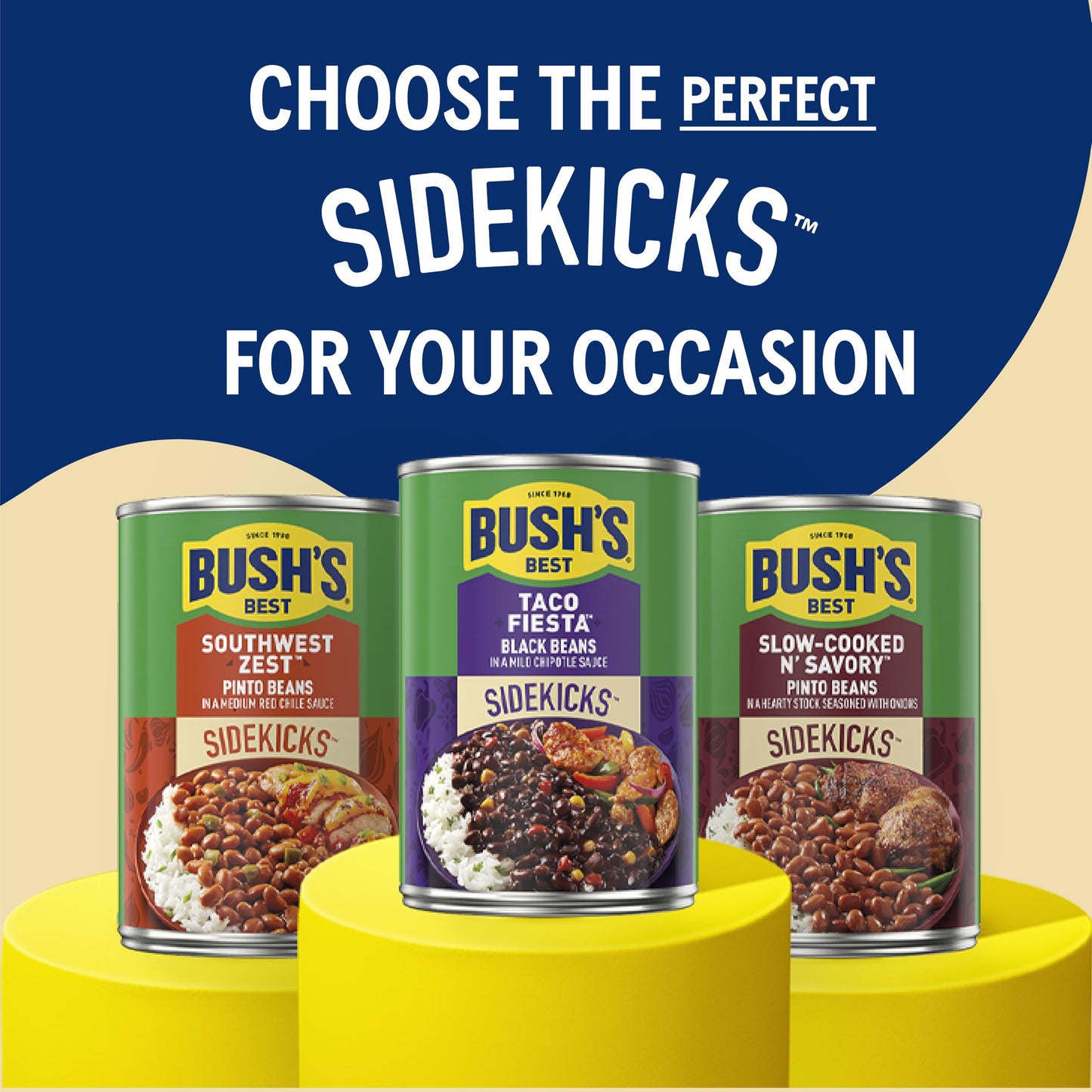 BUSH'S BEST 15 oz Canned Southwest Zest Pinto Beans, Source of Plant Based Protein and Fiber, Low Fat, Gluten Free, (Pack of 12)