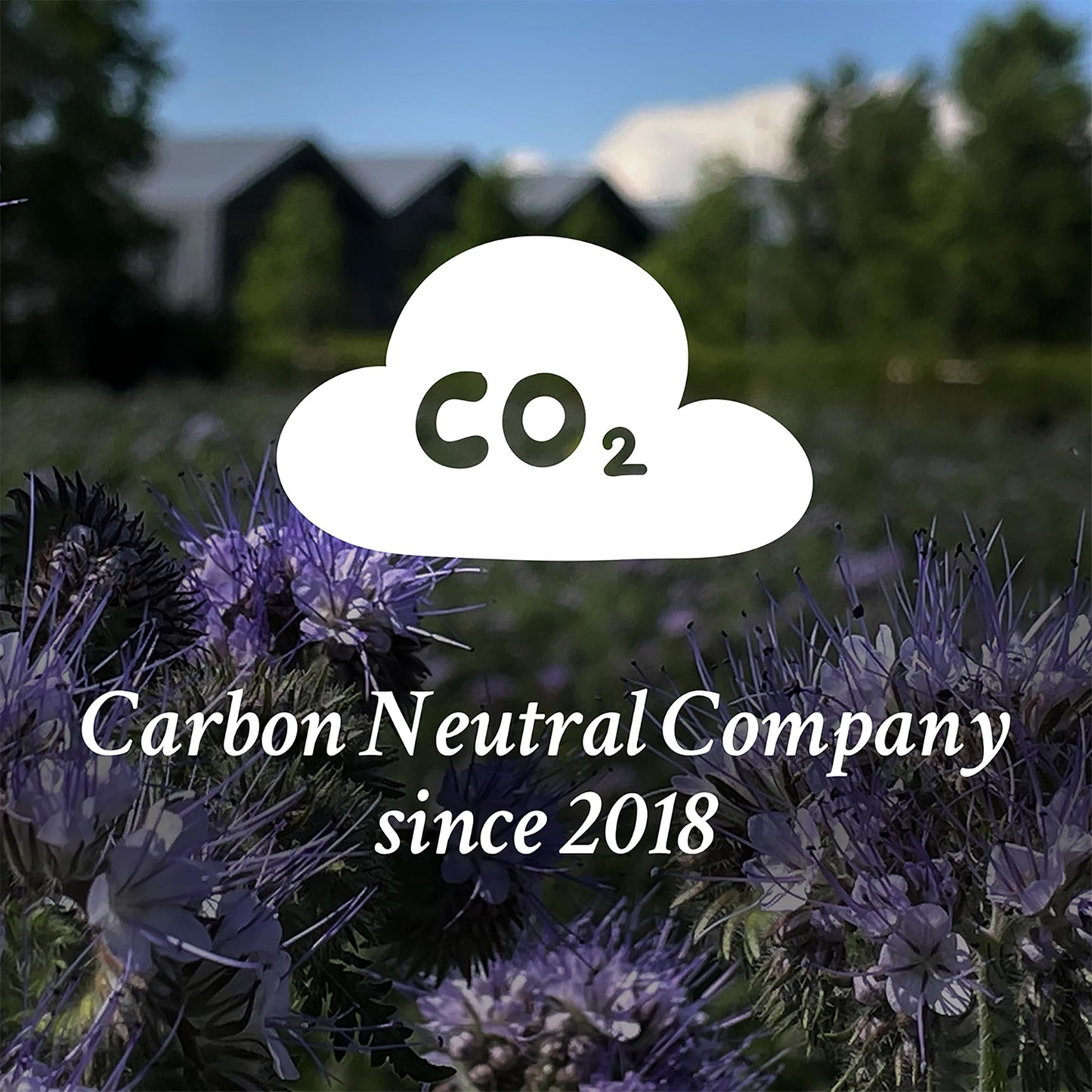 Davines NOUNOU Hydrating Deep Shampoo & Conditioner