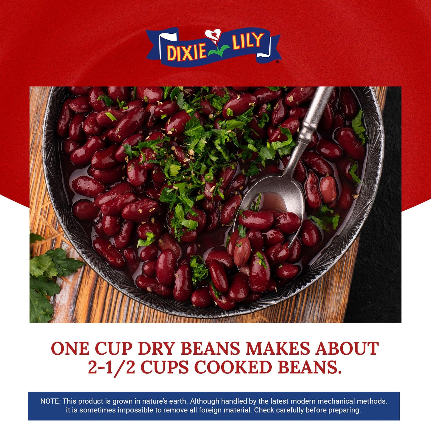 Dixie Lily Light Red Kidney Beans - Dried Beans for Soups, Stews, & Chili, Quick Soak or Slow Cooker, High in Fiber and Non-GMO - 12oz, 3 Pack