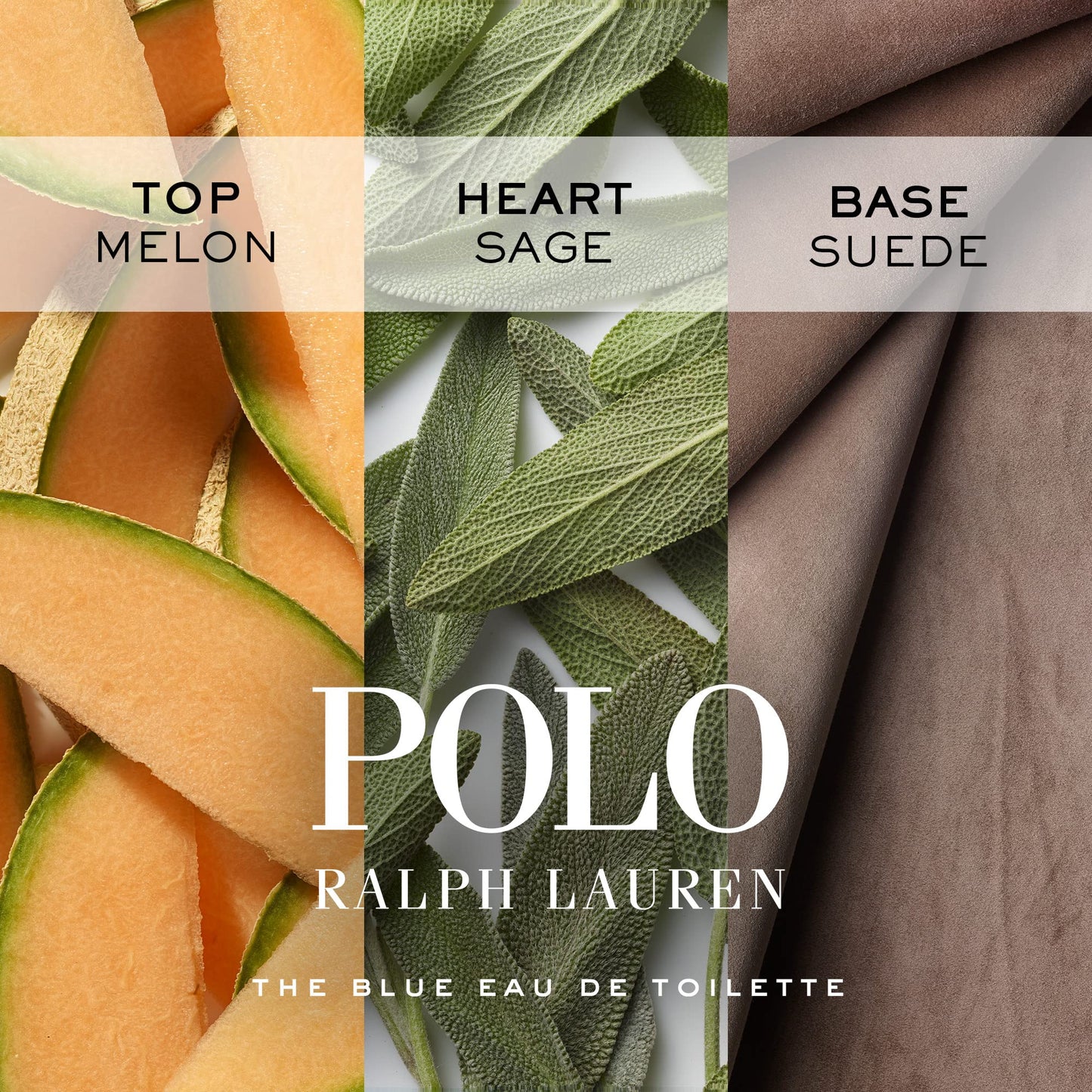 RALPH LAUREN FRAGRANCES - Polo Blue - Men's Deodorant - Aquatic & Fresh - With Citrus, Sage, and Suede - Alcohol-Free, Long Lasting - 2.6 Oz