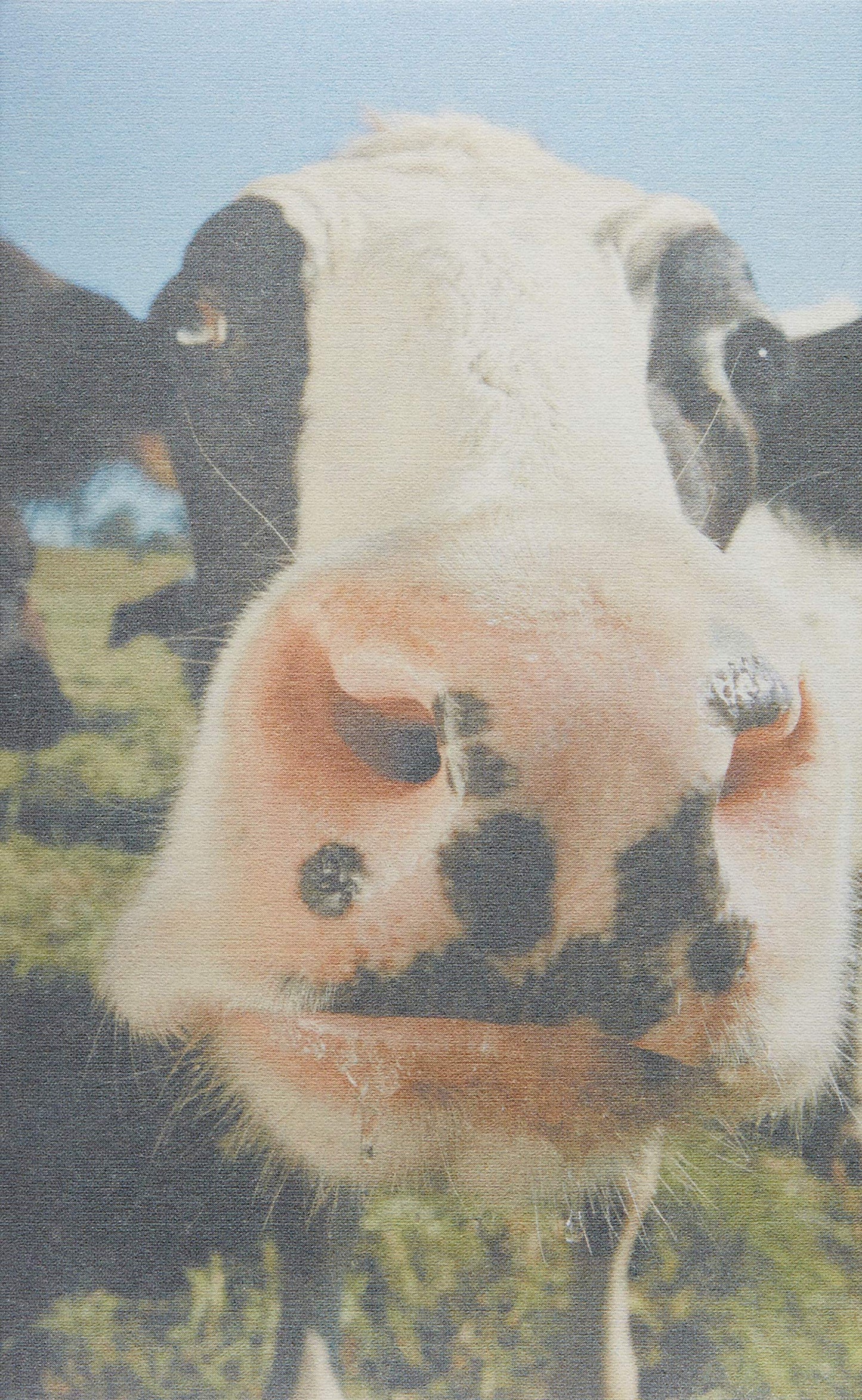 FarmHouse Fresh Sweet Cream Body Milk