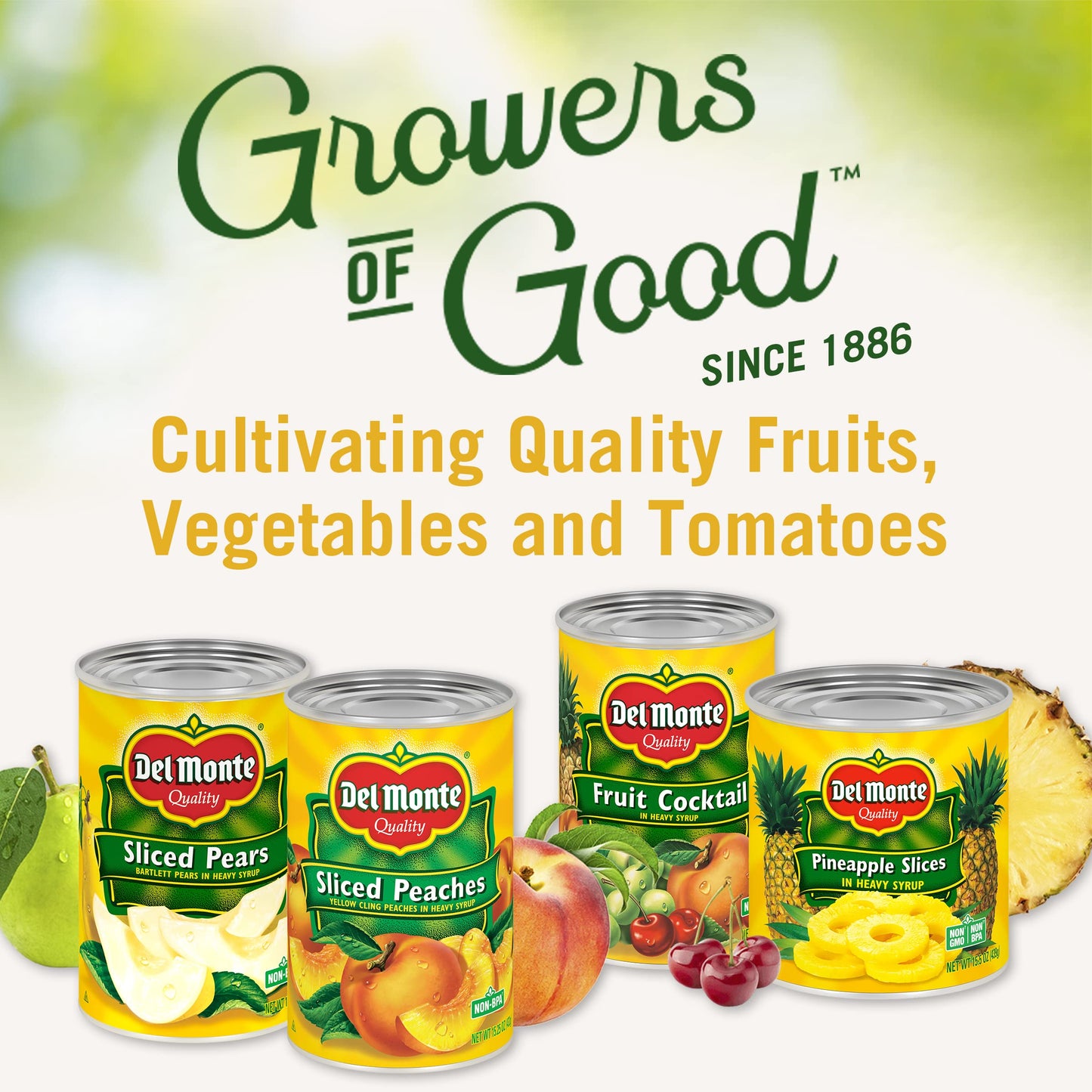 DEL MONTE Sliced Bartlett Pears in Heavy Syrup, Canned Fruit, 12 Pack, 15.25 oz Can