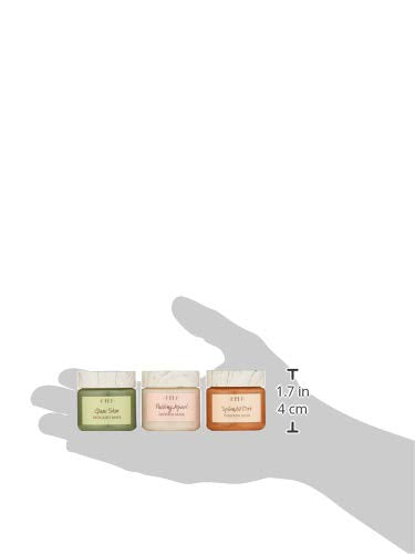FarmHouse Fresh Quick Recovery Face Mask Sampler, 3 ct.