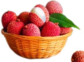 20oz of Peeled, Seedless Lychees in concentrated lychee juice Sugar Syrup, with a delightful floral aroma and taste and a unique chewy texture. Versatile and ready-to-use for your culinary creations, spanning desserts, beverages, fruit salads, and...
