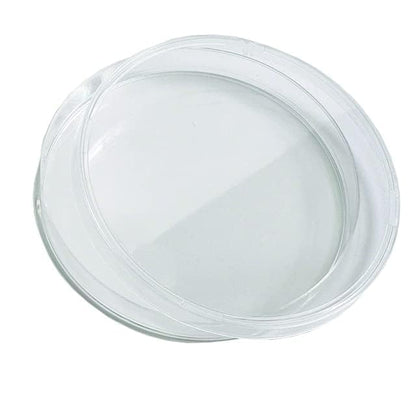 United Scientific 20 Pack Sterile Thick Plastic Petri Dishes with Lid, 60mm Dia x 15mm, Designed for use in Laboratories, Home, and Classrooms
