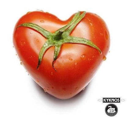 KYKNOS Double Concentrate Tomato Paste 410 g (Pack of 2)