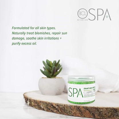 BCL SPA Lemongrass & Green Tea 4-Step Skincare Starter Kit, 16oz Each – Organic Vegan Spa Set for Hands, Feet & Body – Hydrates, Exfoliates, Softens Skin