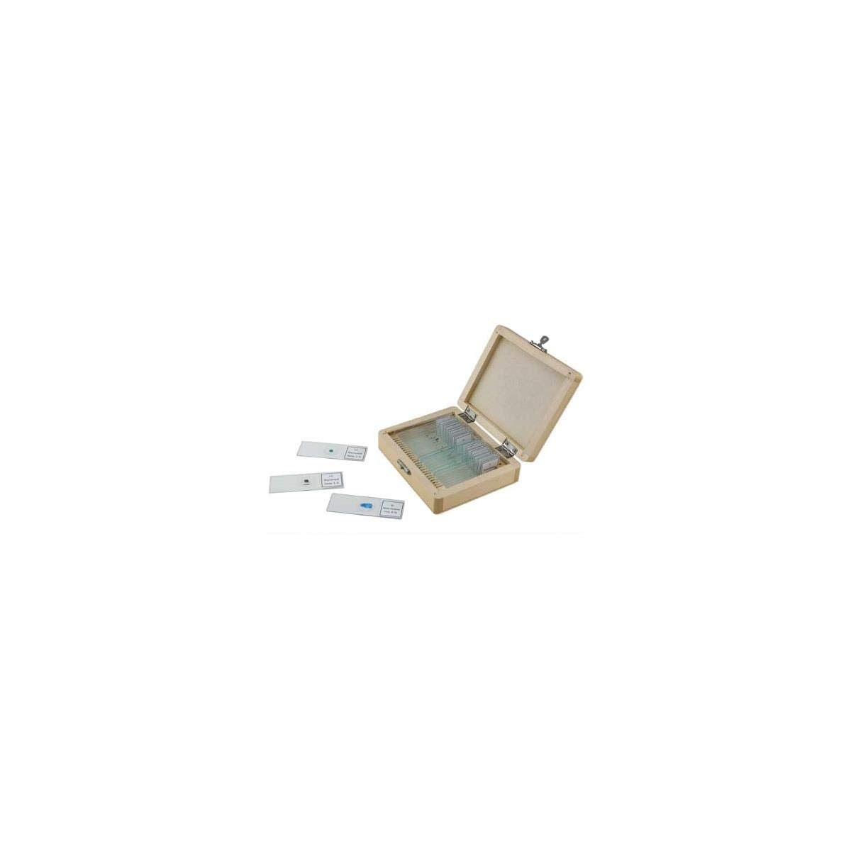 Celestron 44410 Prepared Microscope Slides, Pack of 25