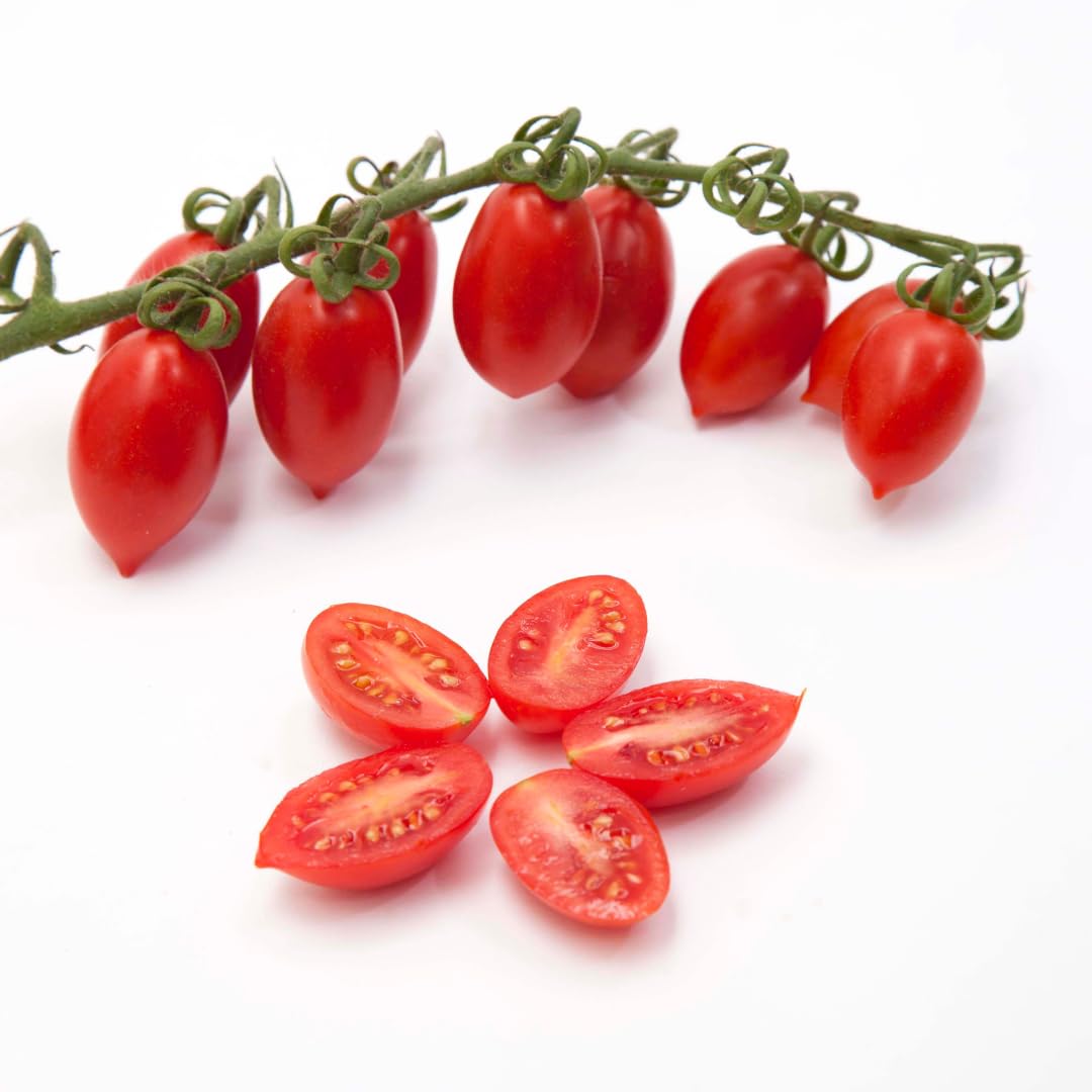 Cosi Come - Datterini Tomatoes in Juice (12.354 oz) 350 g, Low-acid, No additives, No preservatives, 100% Natural, Non-GMO, Product of Italy
