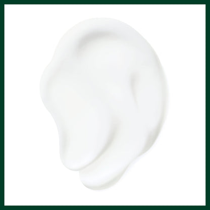 Aveda Nutriplenish Daily Moisturizing Treatment | Leave-In Treatment for Medium to Thick Dry Hair | Heat Protection | Organic Pomegranate Oil, Coconut Oil, Mango Butter | 99% Naturally Derived*