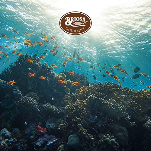 Briosa Gourmet Sardines in Olive oil - Tinned and packaged by Hand - Rich in Omega-3 - 5 tins x 120 g | Portugal