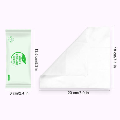 Individually Wrapped Personal Hygiene Wipes,100 Pack Feminine Wipes Travel,Plant Extracts,Travel Essential Easy to Carry,Hygiene Wipes for Women to Give Loved Ones Friends Homeless People,Large
