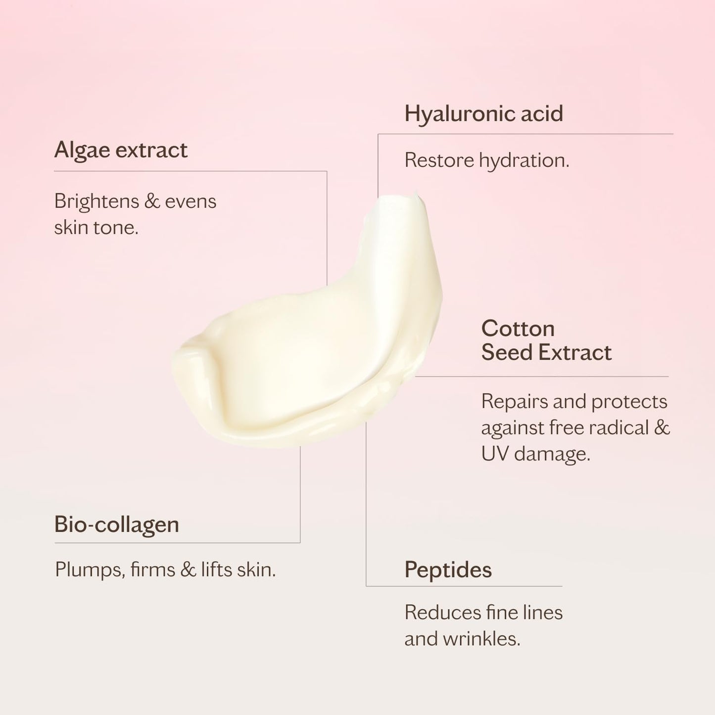 MZ SKIN The Rich Moisturiser 1.69 fl oz | Anti-Aging Face Cream with Hyaluronic Acid, Peptides & Ceramides | Deep Hydration, Firmness & Plumps To Reduce Fine Lines & Wrinkles