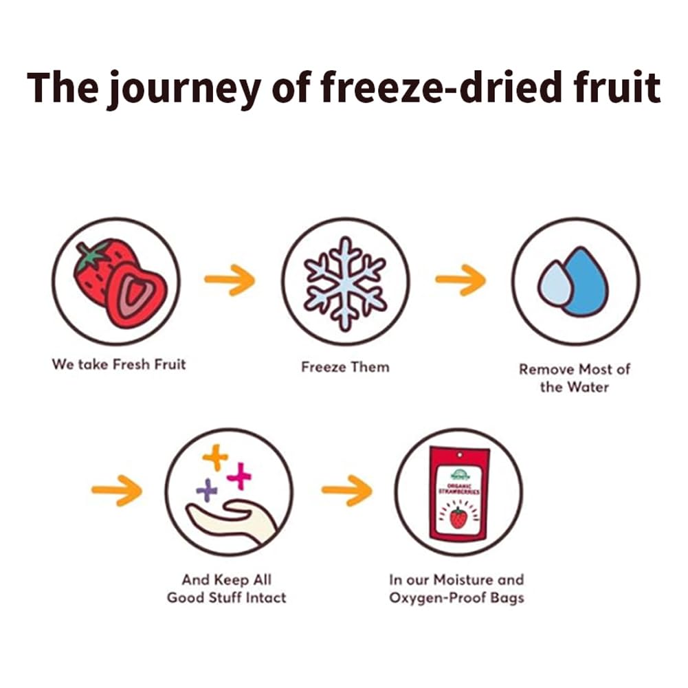 DAMAICHUHAI 9 Types Freeze-Dried Mixed Fruit, Healthy Snacks For Kids，Dried Apples，Kiwi Fruit Dry，Freeze Dried Strawberries Wait，Holiday Gifts，3.5 Ounces（Mixed Pack）