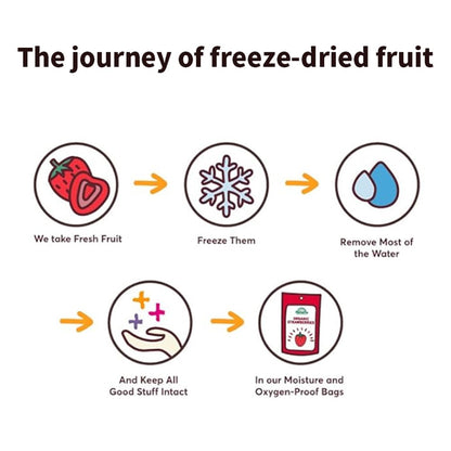 DAMAICHUHAI 9 Types Freeze-Dried Mixed Fruit, Healthy Snacks For Kids，Dried Apples，Kiwi Fruit Dry，Freeze Dried Strawberries Wait，Holiday Gifts，3.5 Ounces（Mixed Pack）