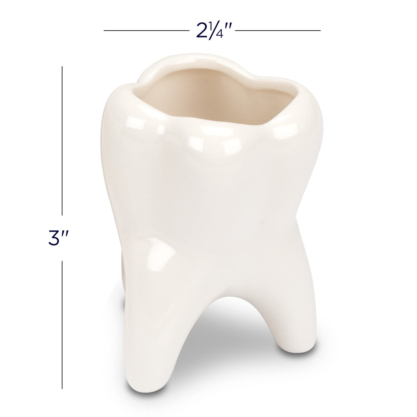 Practicon 9099210 Mini Molar Vase, Pack of 4