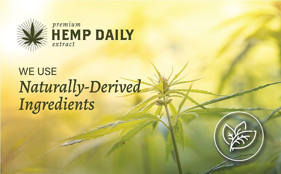 Earthly Body Premium Hemp Extract Daily Ultimate Cream - Menthol, Argan, Jojoba, Rosehips - Lightweight, Fast-Absorbing Moisturizing Topical Lotion with Essential Oils - Lavender, Single 5oz