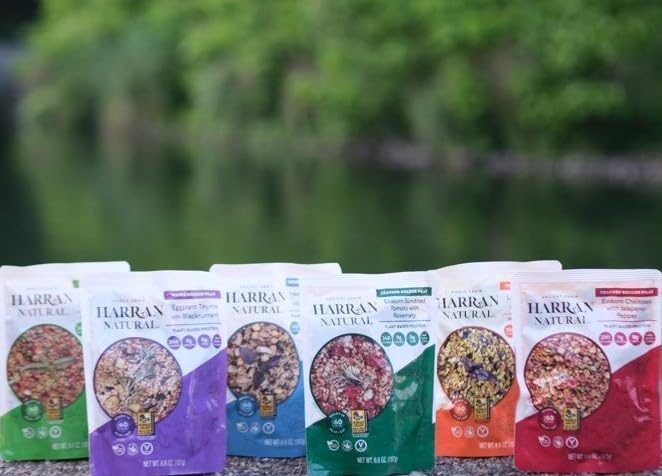 Harran Natural Whole Grain Bulgur Pilaf, Lentil Turmeric with Red Basil, Ready to Eat Healthy Superfood Meal, Non-GMO, No Preservatives, Vegan, Plant-Based Protein, 6.6 oz (Pack of 8)