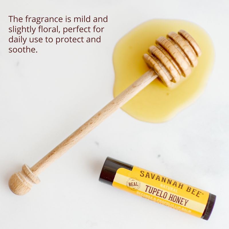 Savannah Bee Company Natural - Tupelo Honey Beeswax Lip Balm, 0.15-Ounce (Pack of 4)