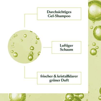 Rene Furterer VOLUMEA Volumizing Shampoo - For Fine, Limp Hair - Thickening & Volumizing - SLS Free