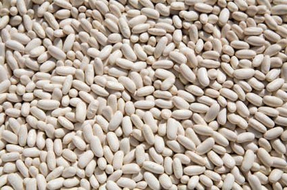 OliveNation Organic Cannellini Beans, Dry White Kidney Beans, Non-GMO, Gluten Free, Vegan - 1 pound