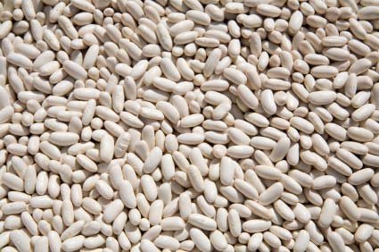 OliveNation Organic Cannellini Beans, Dry White Kidney Beans, Non-GMO, Gluten Free, Vegan - 1 pound