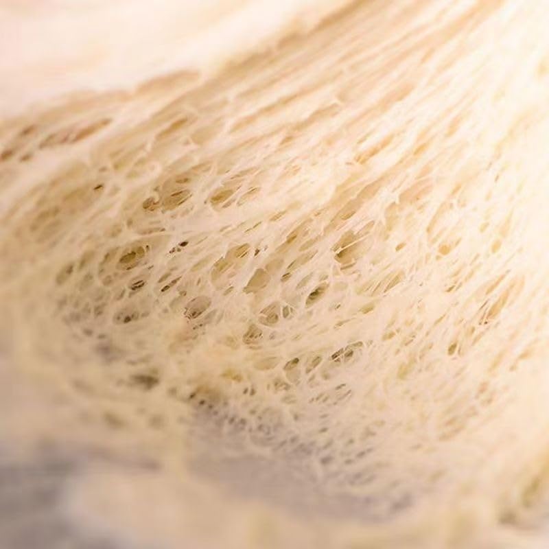 Instant active dry yeast, yeast powder fermentation powder household small package dry yeast, Mantou, steamed stuffed buns, bread and flour, (5g * 5 bags) 0.88oz即发活性干酵母馒头包子面包发面宝