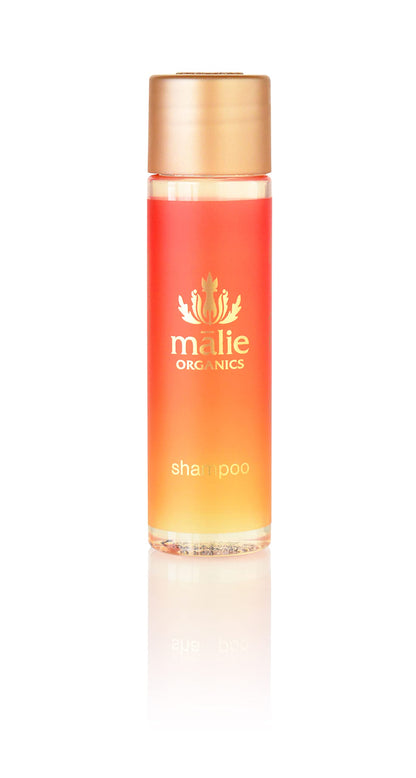 Mango Nectar Shampoo Mini