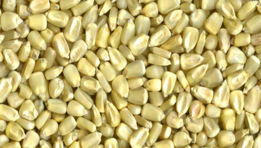 Mahindi Kenyan Whole White Corn