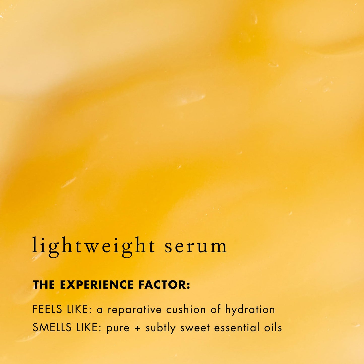 Bioelements Lip Clinic Hydrating Serum - 0.33 fl oz - Moisturize & Hydrate with Shea Butter & Squalane - Vegan, Gluten Free - Never Tested on Animals