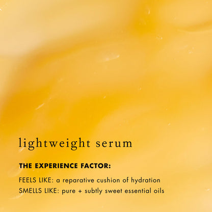 Bioelements Lip Clinic Hydrating Serum - 0.33 fl oz - Moisturize & Hydrate with Shea Butter & Squalane - Vegan, Gluten Free - Never Tested on Animals