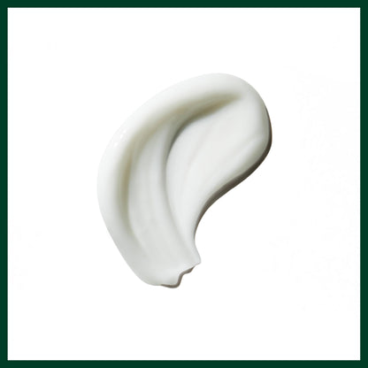 Aveda Be Curly Advanced Curl Enhancer Hair Cream | Defines Curly and Wavy Hair | Hydrates, Reduces Frizz, Adds Shine | Air Dry or Blow Dry | Silicone Free | 98% Naturally Derived*