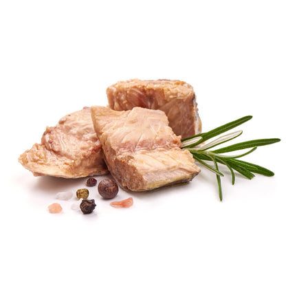Sanniti Mackerel Fillets in a Rich Tomato Sauce | Super Food | High in Protein | High in Omega 3, 4.4 oz (Pack of 3)