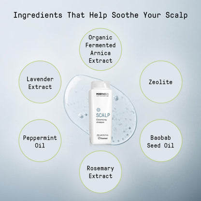 Framesi Morphosis Scalp Cleansing Shampoo, Cleanses Hair and Scalp, Clarifying, Removes Buildup, Natural Ingredients, Color Safe